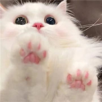 Ảnh đại diện người dùng Đức Anh